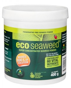 super concentrated seaweed powder