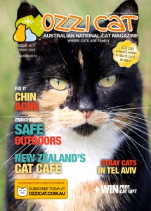 cat magazine
