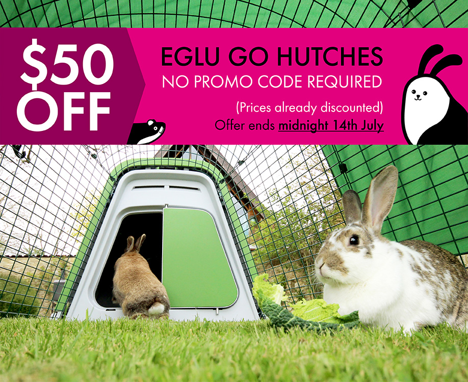 Eglu-Hutch---50-Dollars-Off---Banner-varients_Blog_7fcd037b