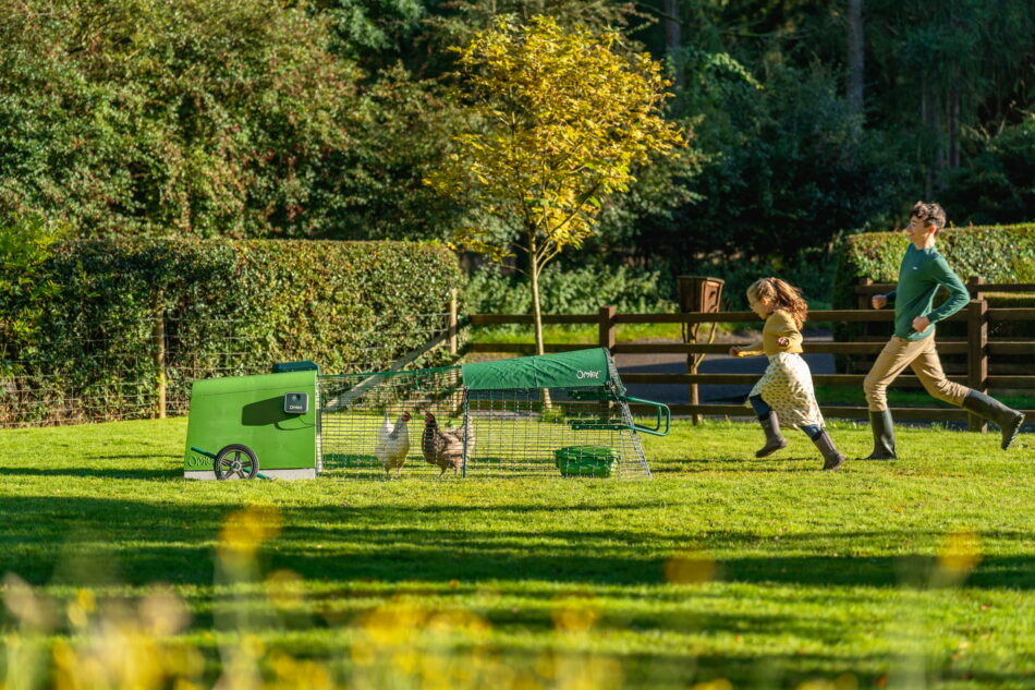 girl and boy running towards an eglu go chicken coop with attached run