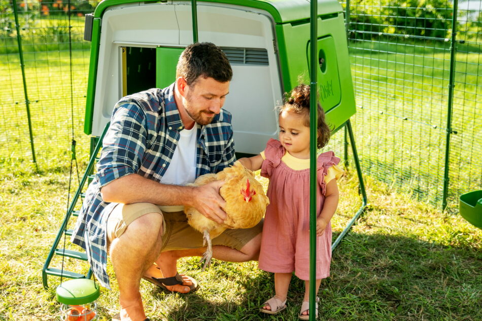 young girl and her dad pet a chicken in front of the eglu cube