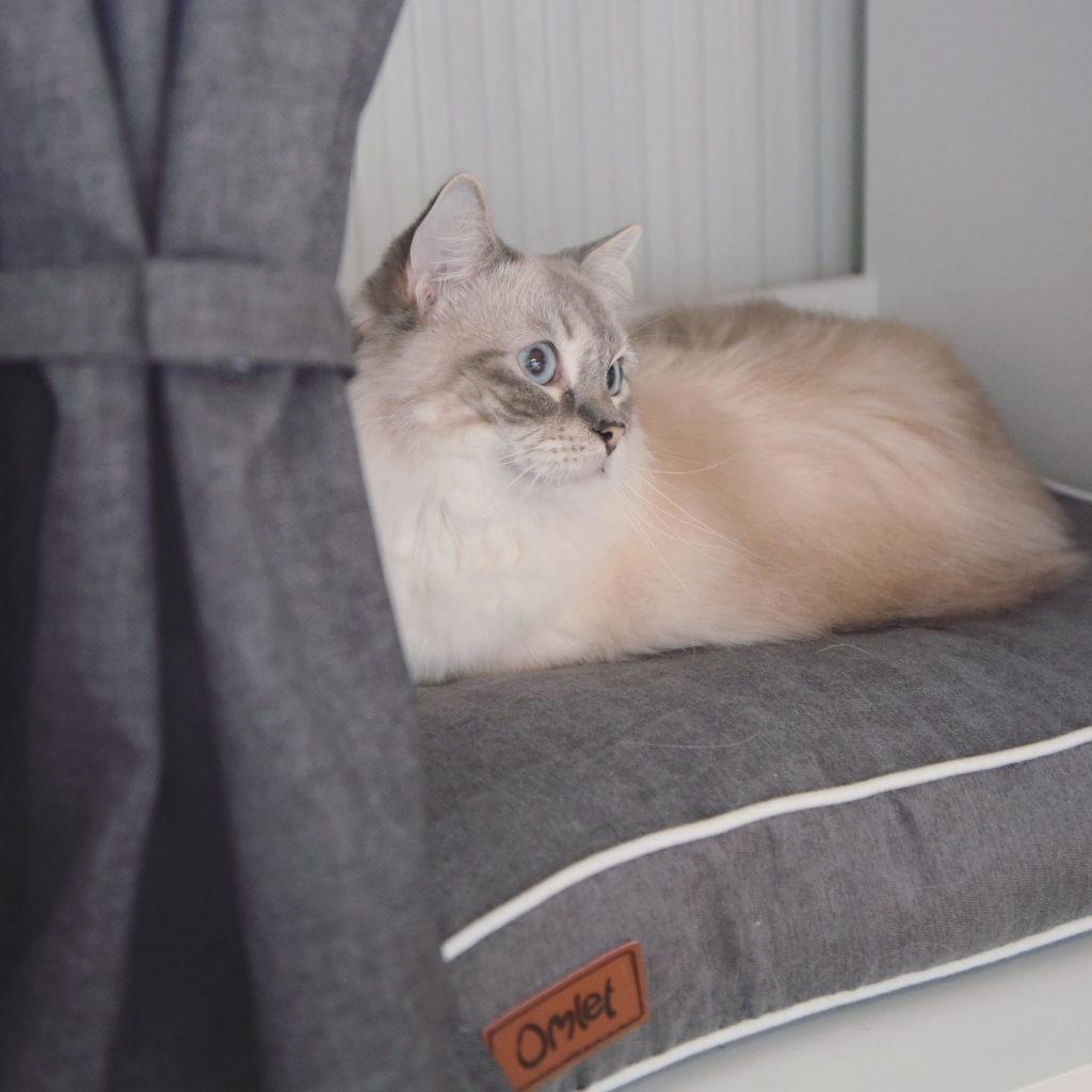 How To Make Sure Your Cat Keeps Warm This Winter Omlet Blog Australia   Unnamed 4 1024x1024 