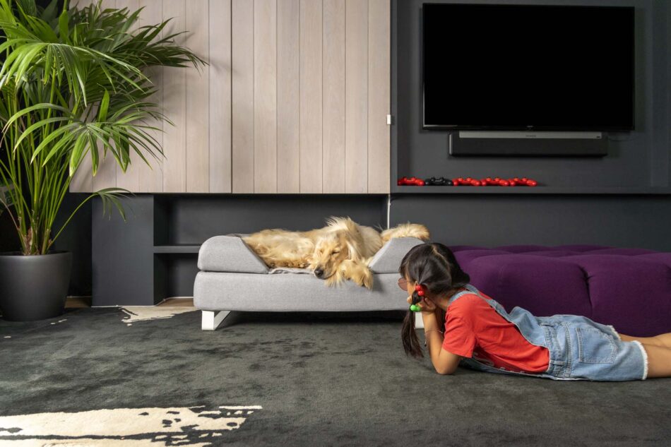 Girl looking at dog lying on its Topology dog bed