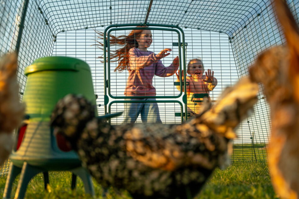 two young girls opening eglu pro chicken run door