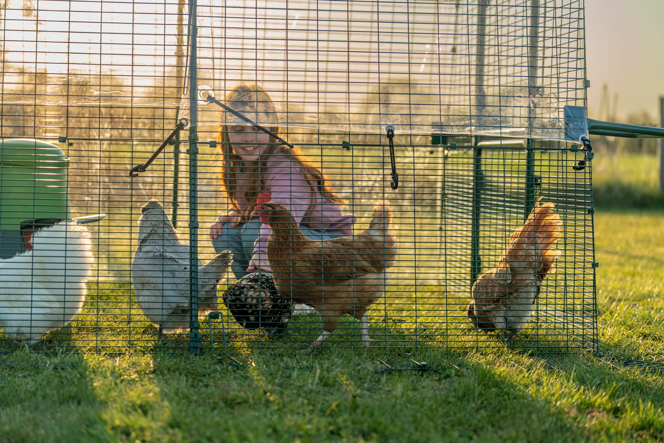 girl sitting in eglu pro run with chickens around her