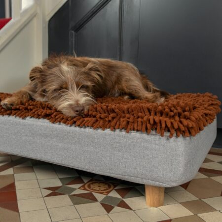 Dog laying on topology dog bed with microfiber topper 