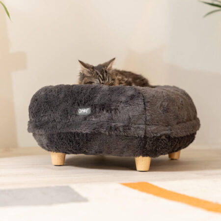 grey cat sleeping on grey raised cat bed