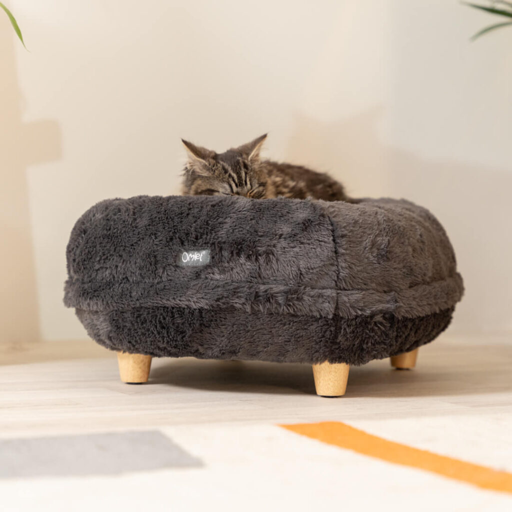 Why Won’t My Cat Sleep in Its Own Bed? Omlet Blog Australia