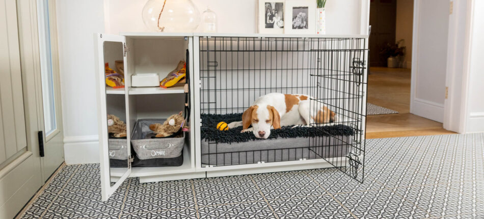 Brown and white dog lying in Omlet Fido Studio Dog Crate with accessories