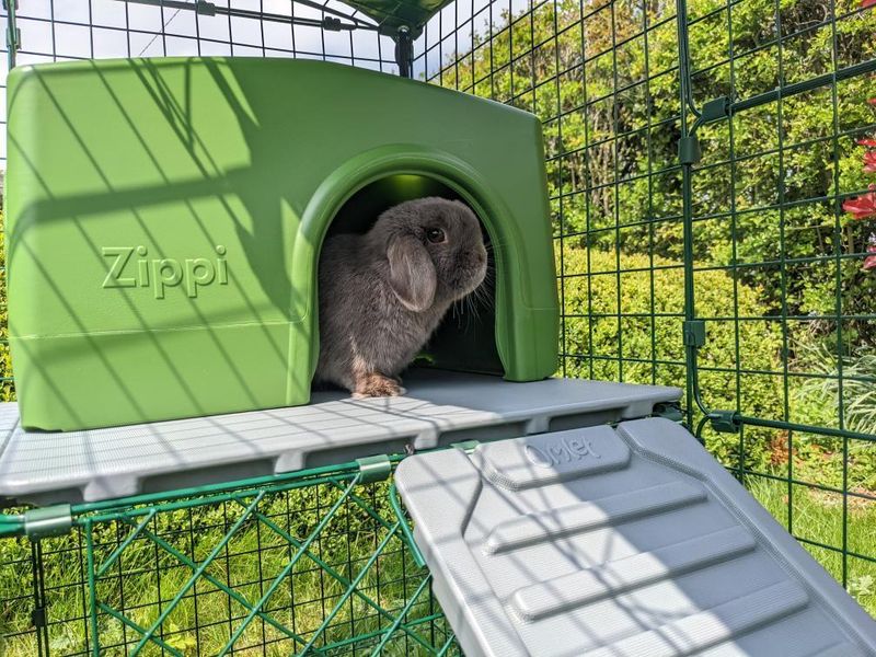 Rabbit in green Zippi Shelter on Omlet Rabbit Run Platforms