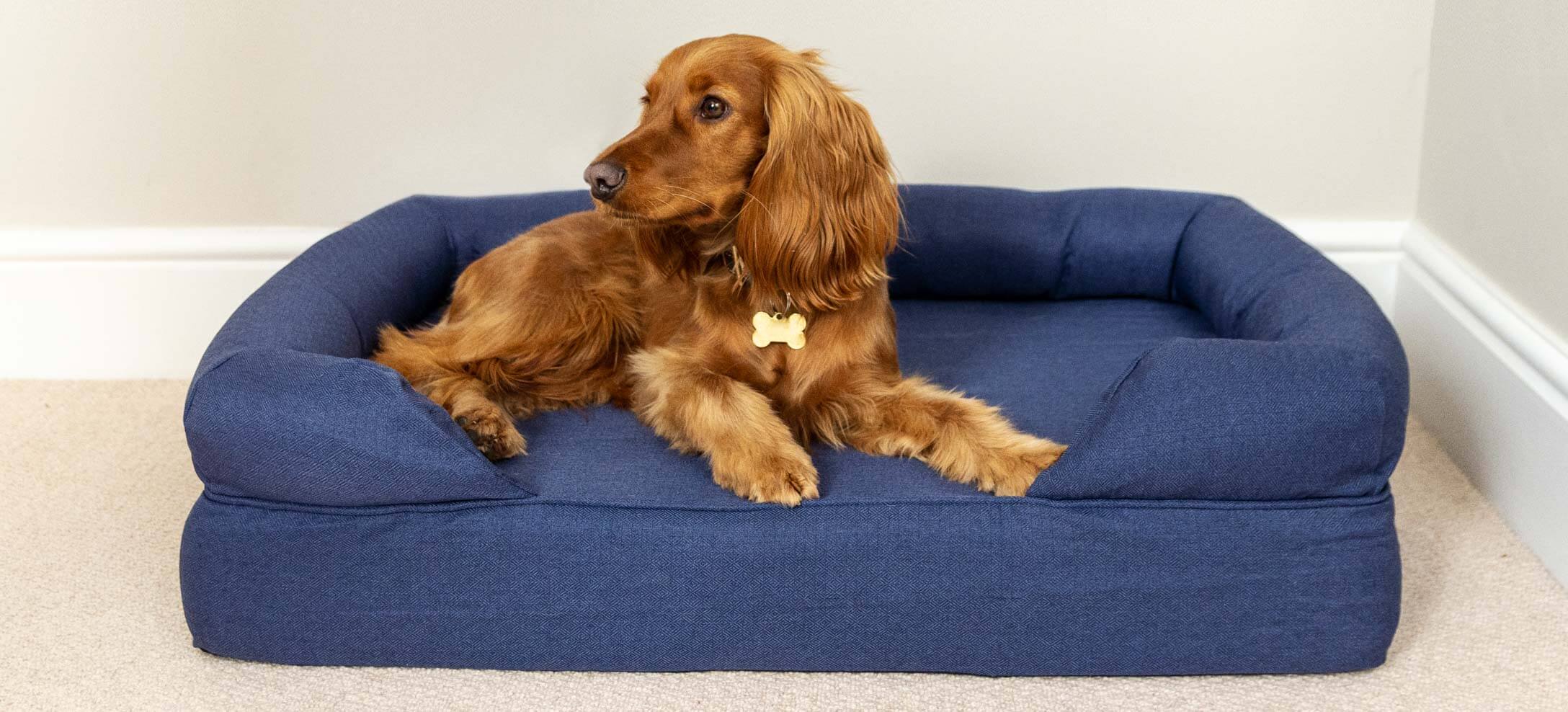 easy to wash dog beds