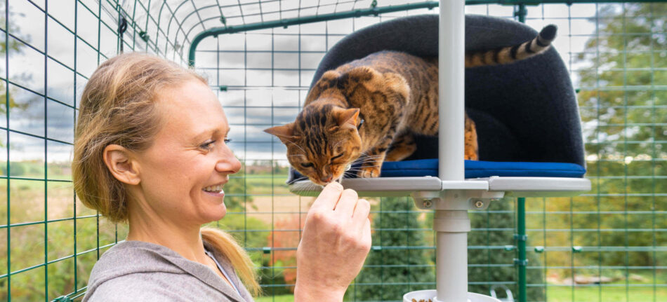 Cat and owner interacting - cat using Omlet Freestyle Outdoor Cat Tree in Omlet Catio