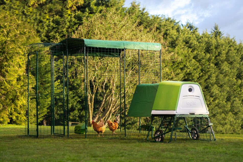 Omlet Eglu Go Up Chicken Coop with weather protection cover