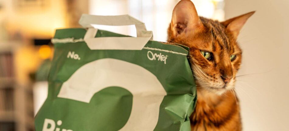Reducing cat's carbon pawprint - cat rubbed against Omlet Pine Cat Litter bag