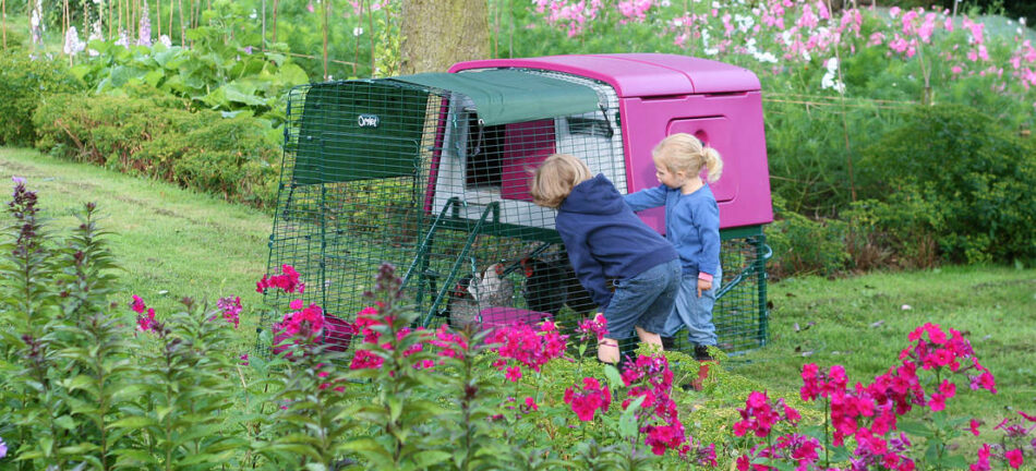 Two children looking at pink Omlet Eglu Cube chicken coop