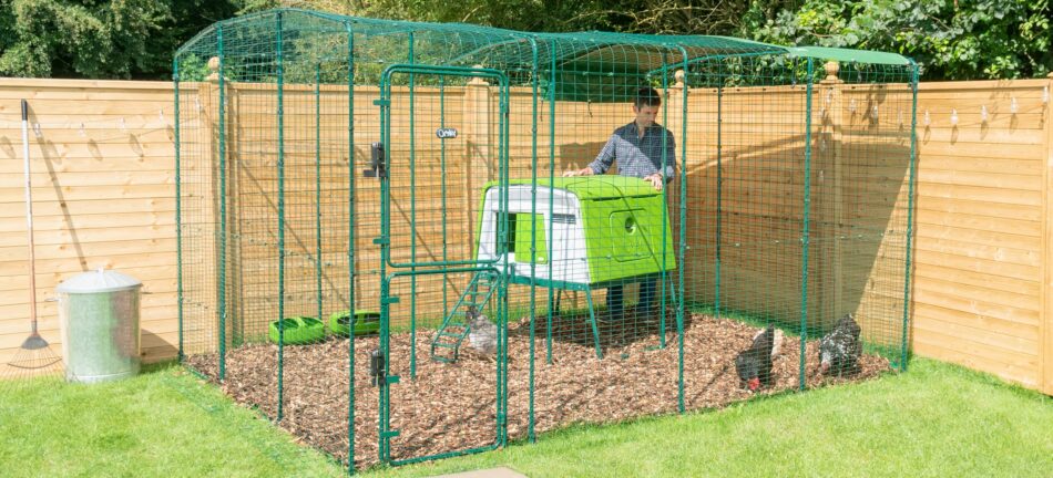 Man with his chickens in Omlet's Walk In Chicken Run and Eglu Cube Chicken Coop