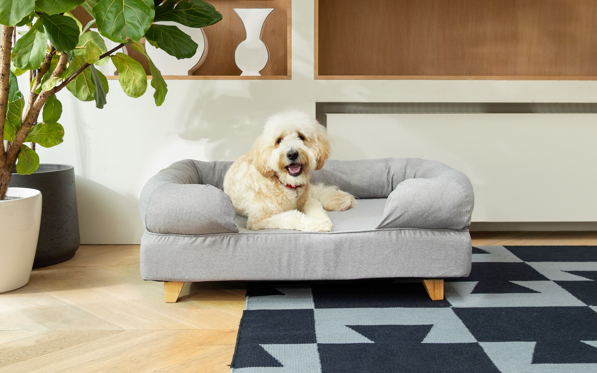 The best dog bed to suit your spring decor Omlet Blog Australia