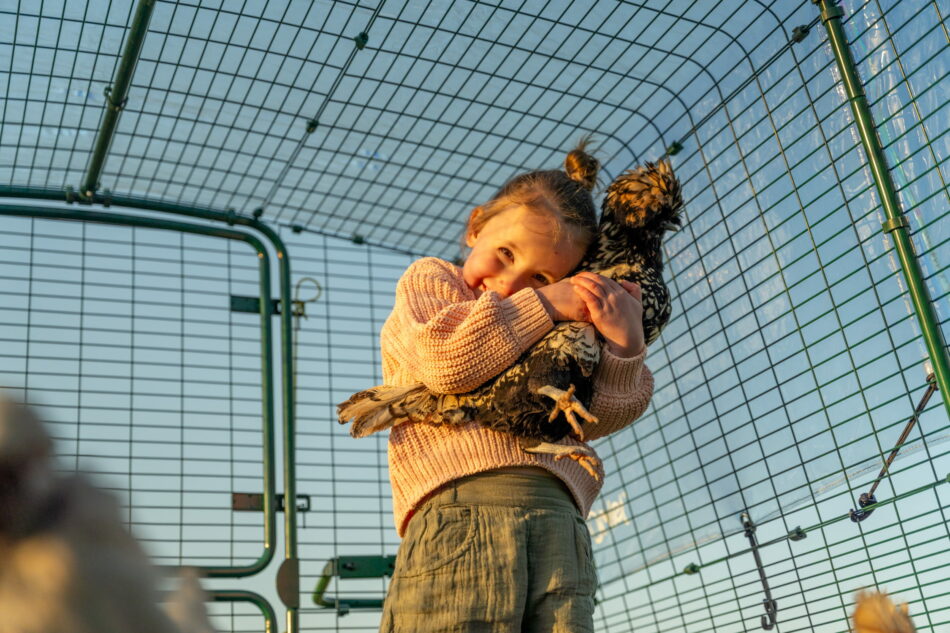 young girl smiling and cuddling chicken in a chicken coop run