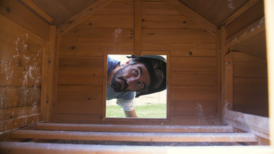 Looking inside wooden chicken coop
