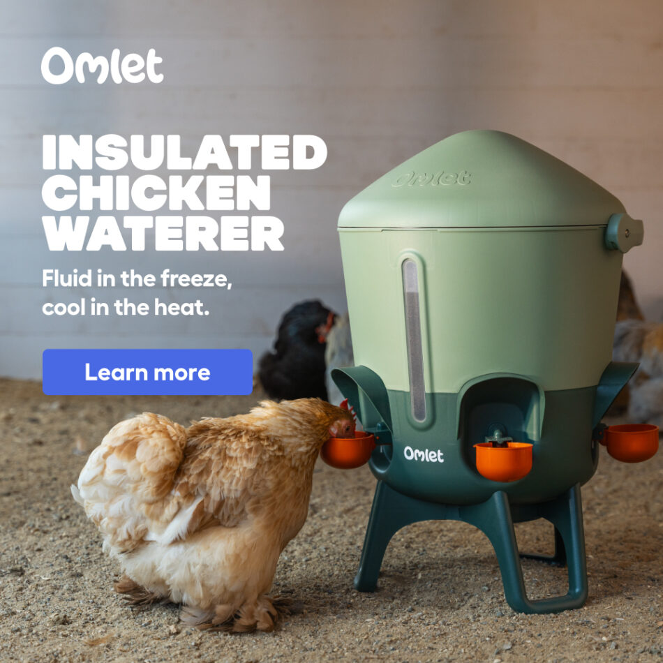 visual square ad for the waterer