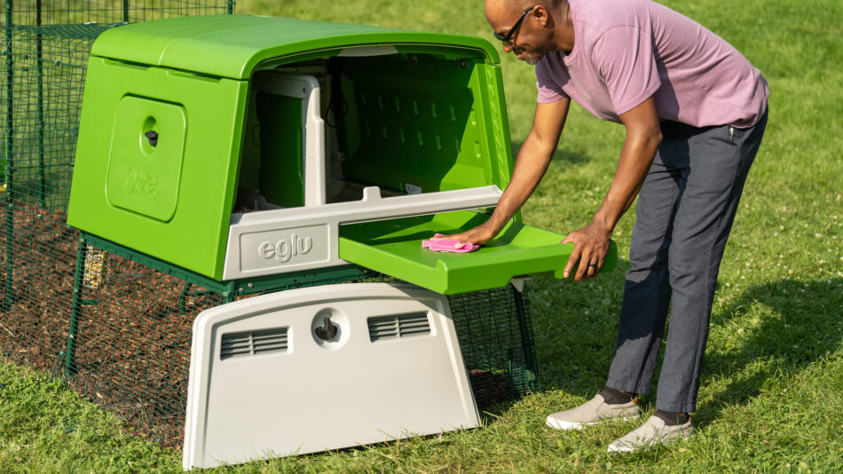 Man-removing-roosting-tray-from-Eglu-Cube-to-clean