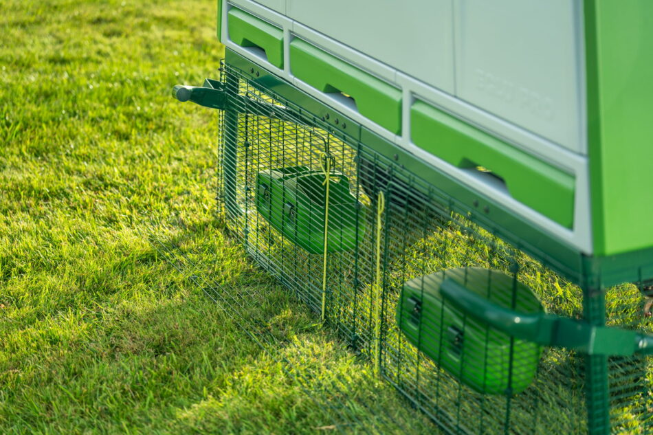 back of eglu pro chicken coop