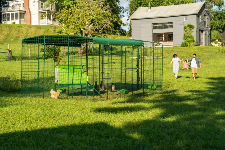 eglu cube in a walk in run in a garden